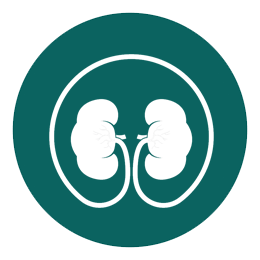 Unveiling the Causes of Kidney Disease